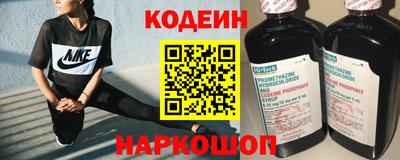 стафф Кингисепп