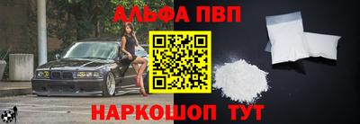 стафф Кингисепп