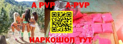 стафф Кингисепп
