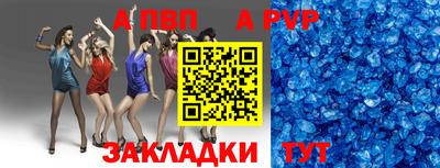 стафф Кингисепп