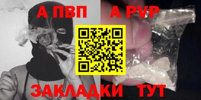 стафф Кингисепп