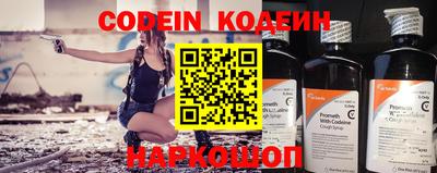 стафф Кингисепп