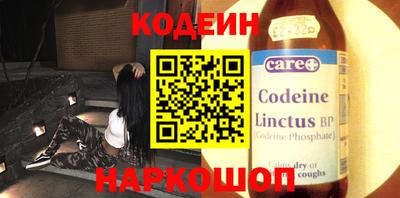 стафф Кингисепп