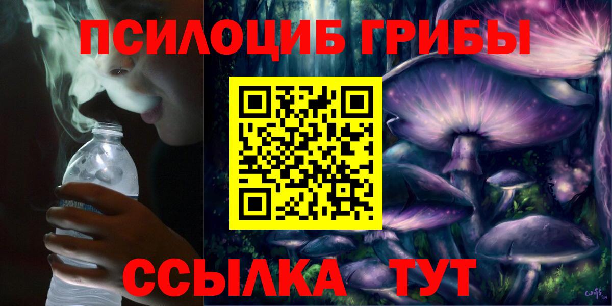 Псилоцибиновые грибы Cubensis Волоколамск